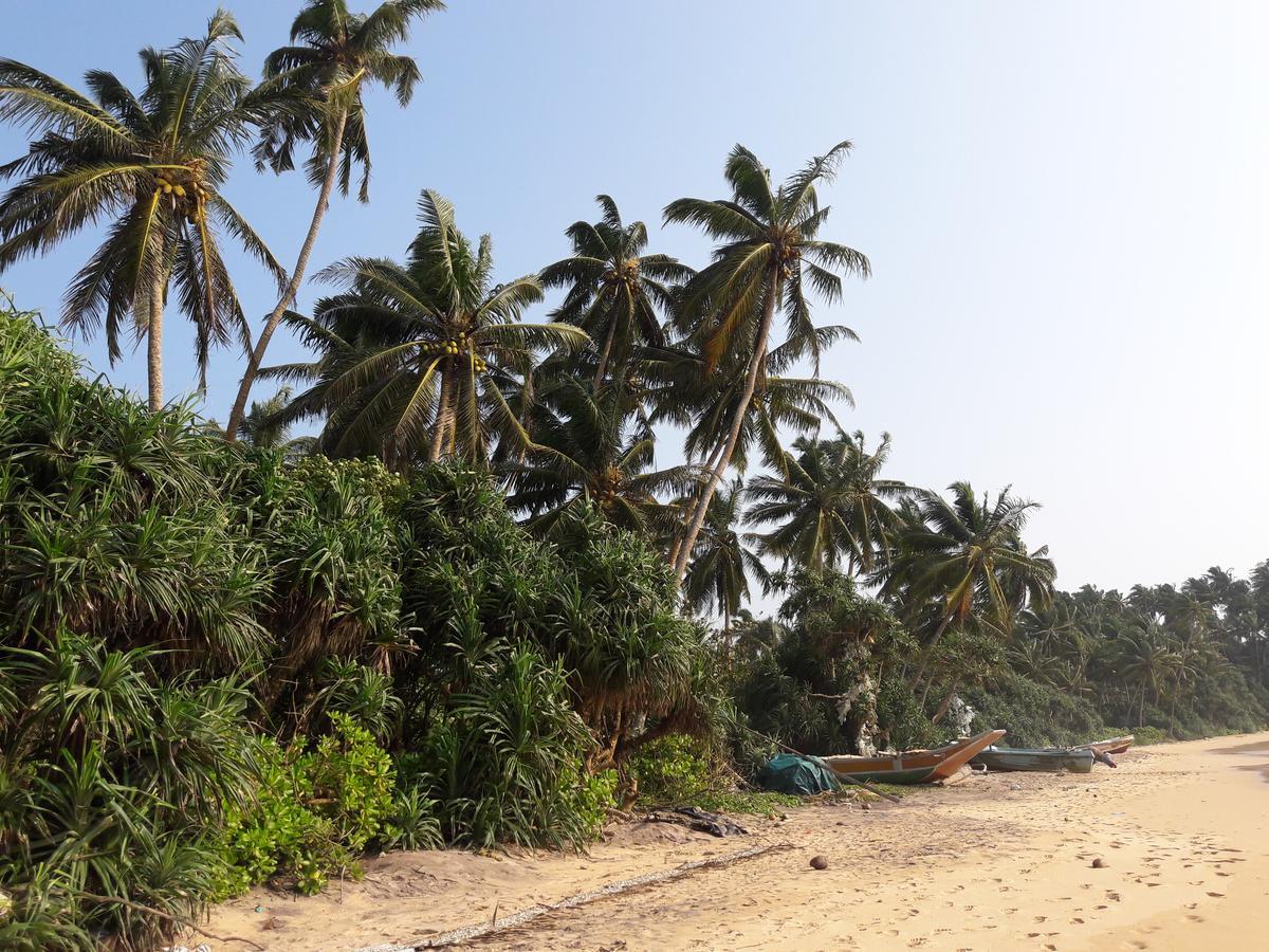 Leatherback Beach Villa Ahungalla Ngoại thất bức ảnh