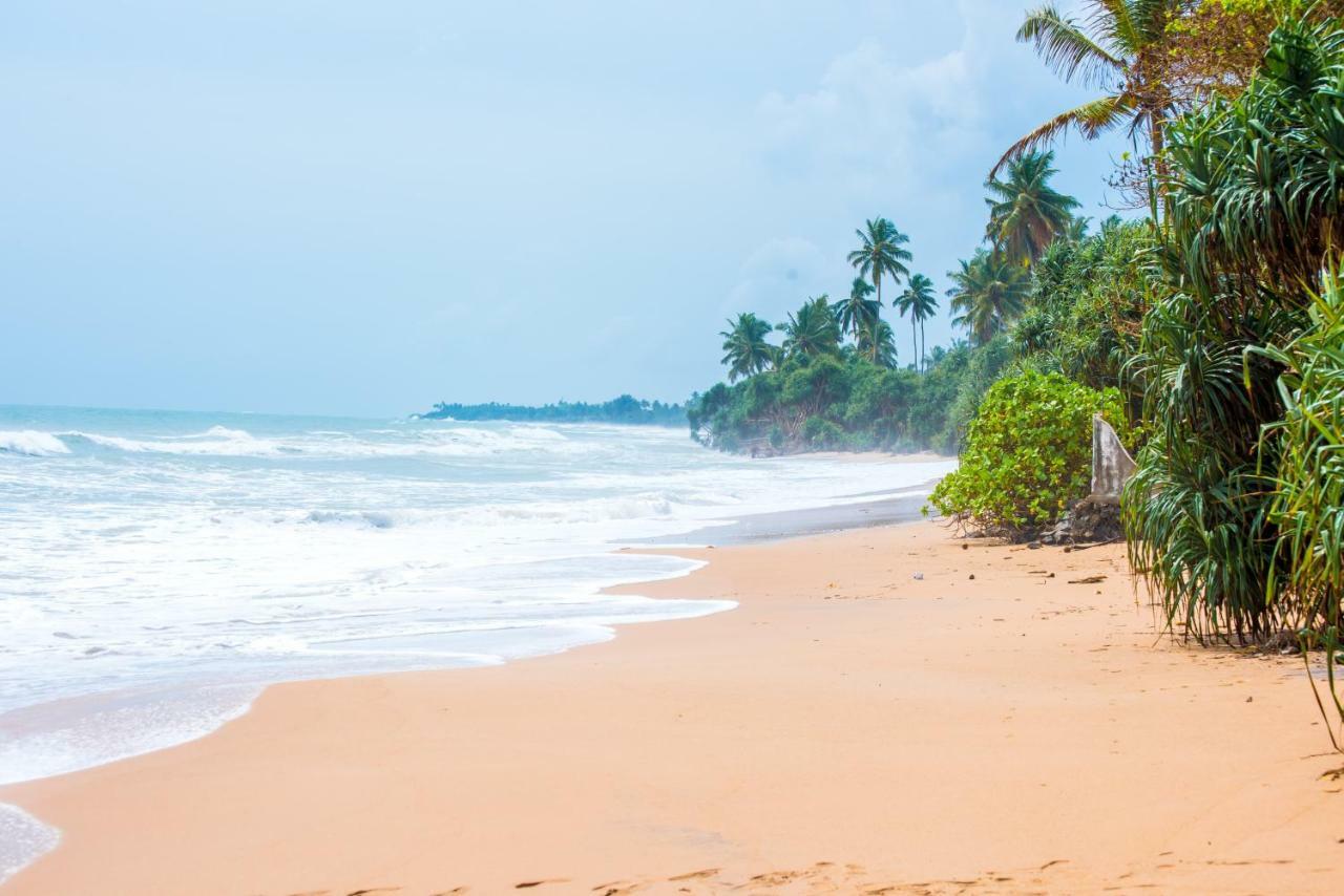 Leatherback Beach Villa Ahungalla Ngoại thất bức ảnh
