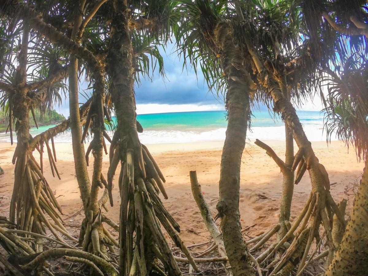 Leatherback Beach Villa Ahungalla Ngoại thất bức ảnh